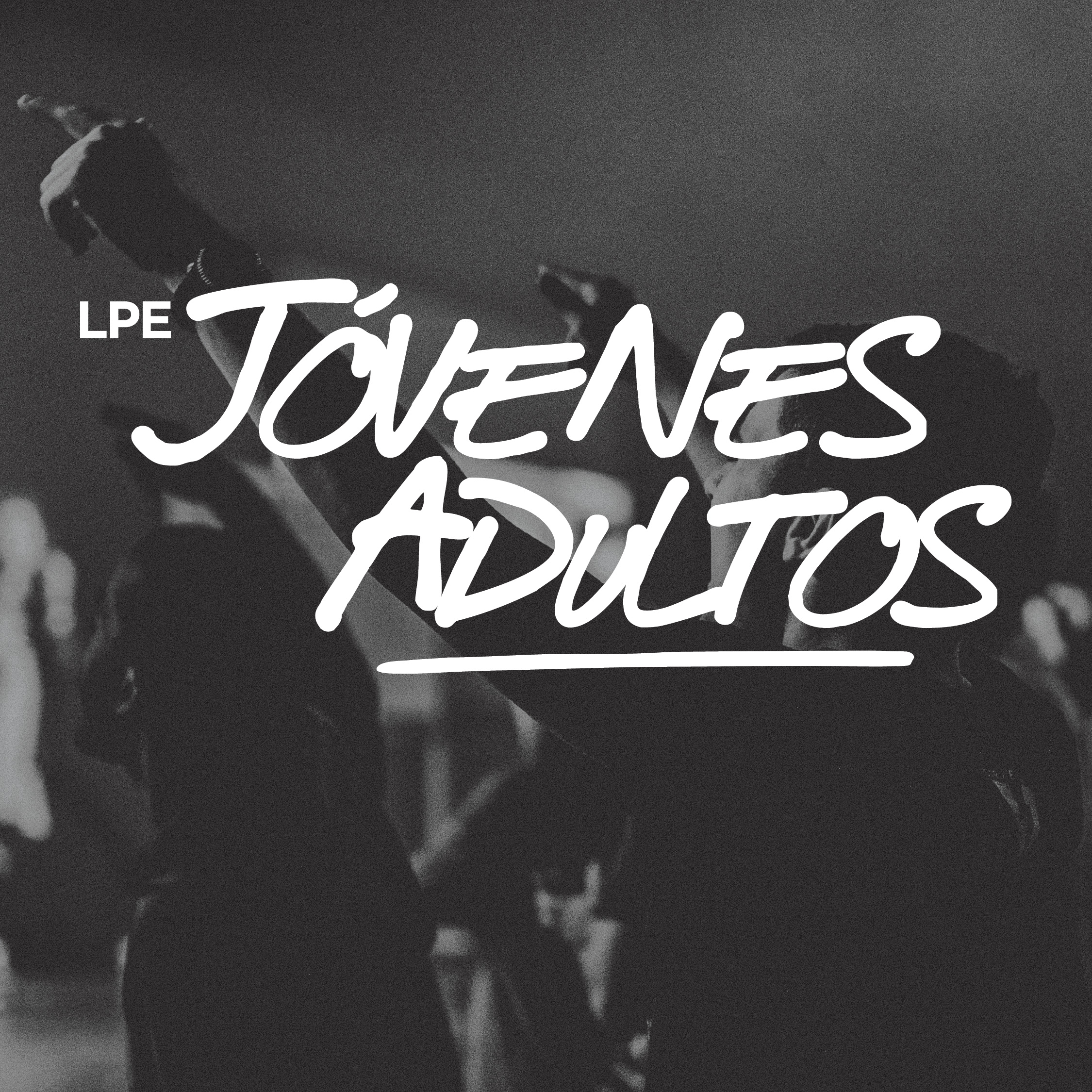 LP YOUNG ADULTS-1080x1080